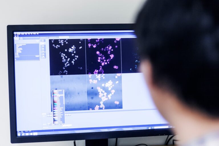 Data validation and quality checks — Business process outsourcing & offshore staffing | Sourcefit